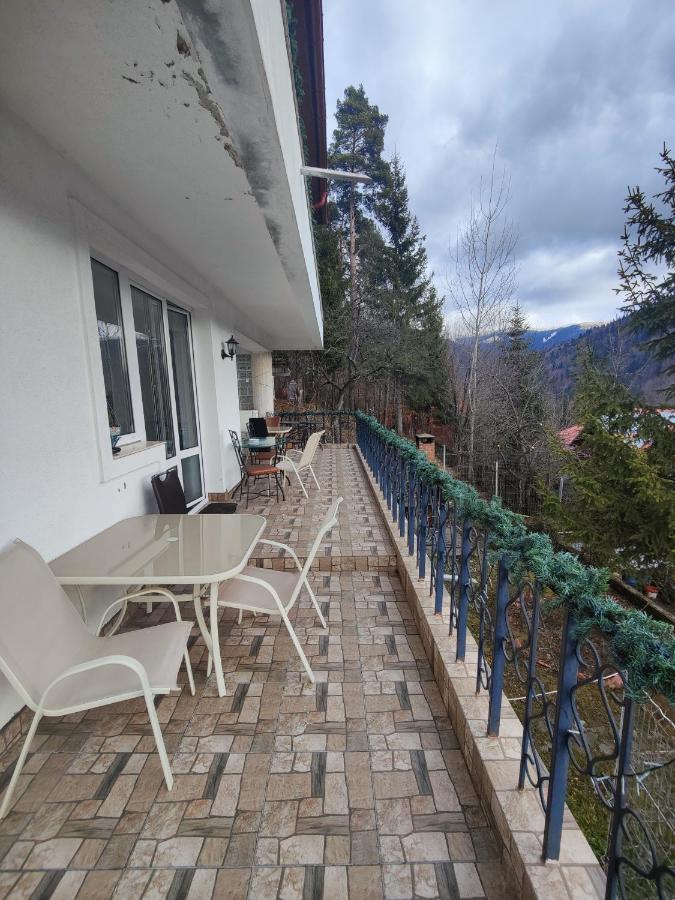 Casa Ana Vilă *