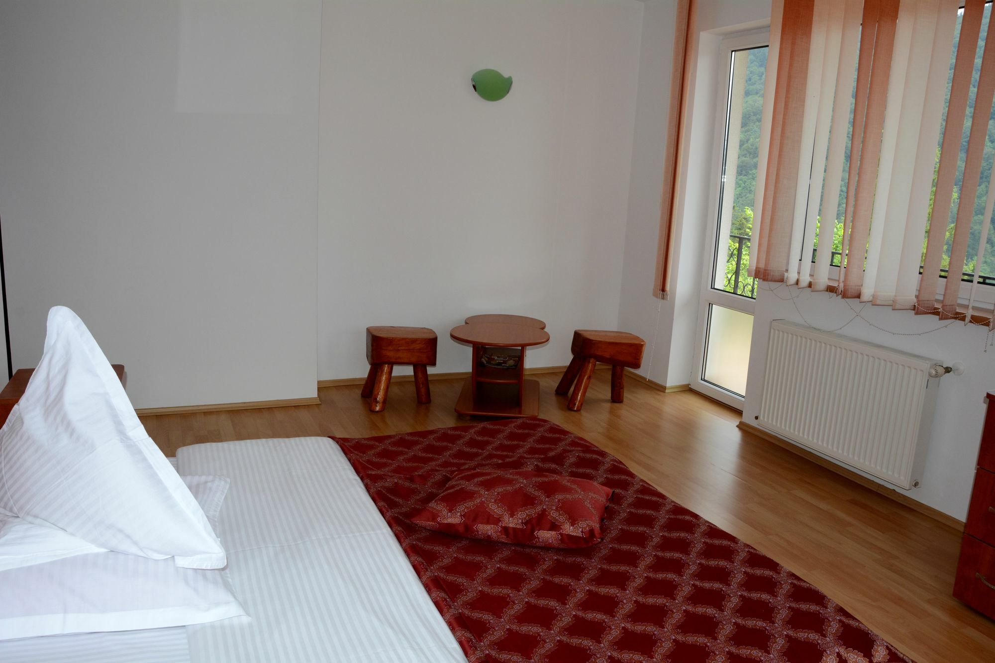 Casa Ana Vilă *